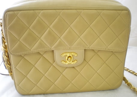 鞄全体に付いた茶色の汚れ1ビフォー