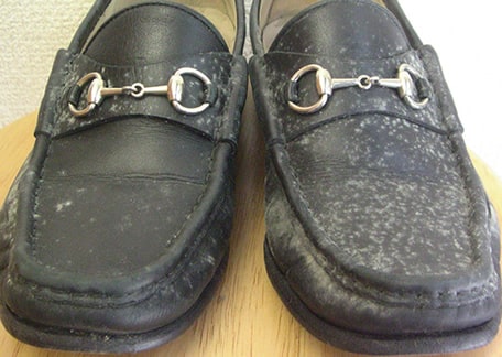 靴のカビビフォー